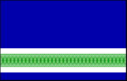 The Karelian Flag