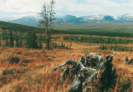 The Ural Mountains, Komi